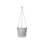 greenville hanging basket 24cm living concrete